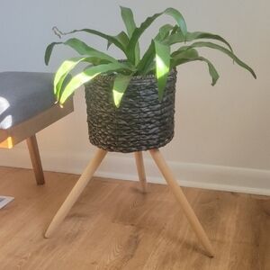 Woven Black Planter with Wooden Legs